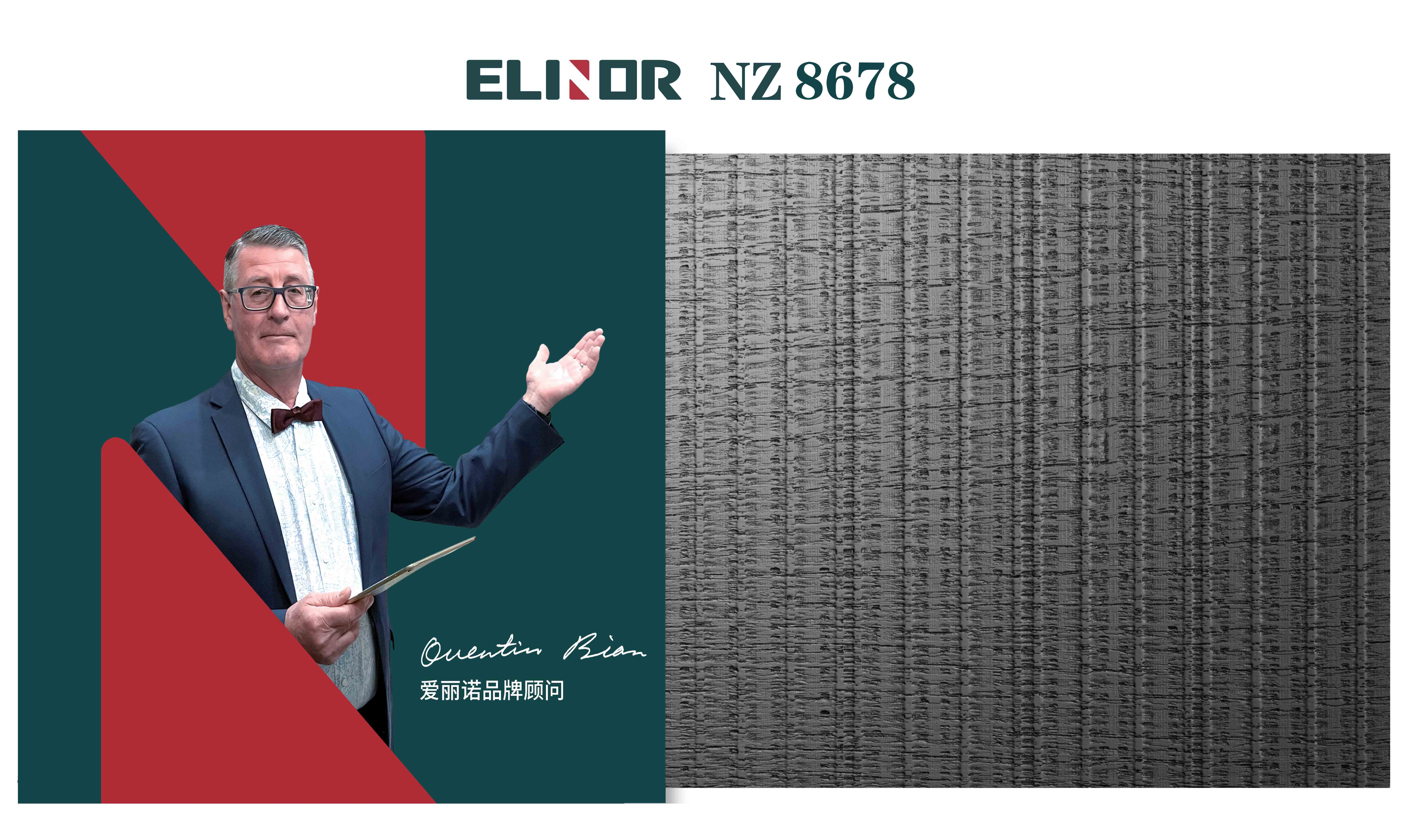 NZ8678 ¥528