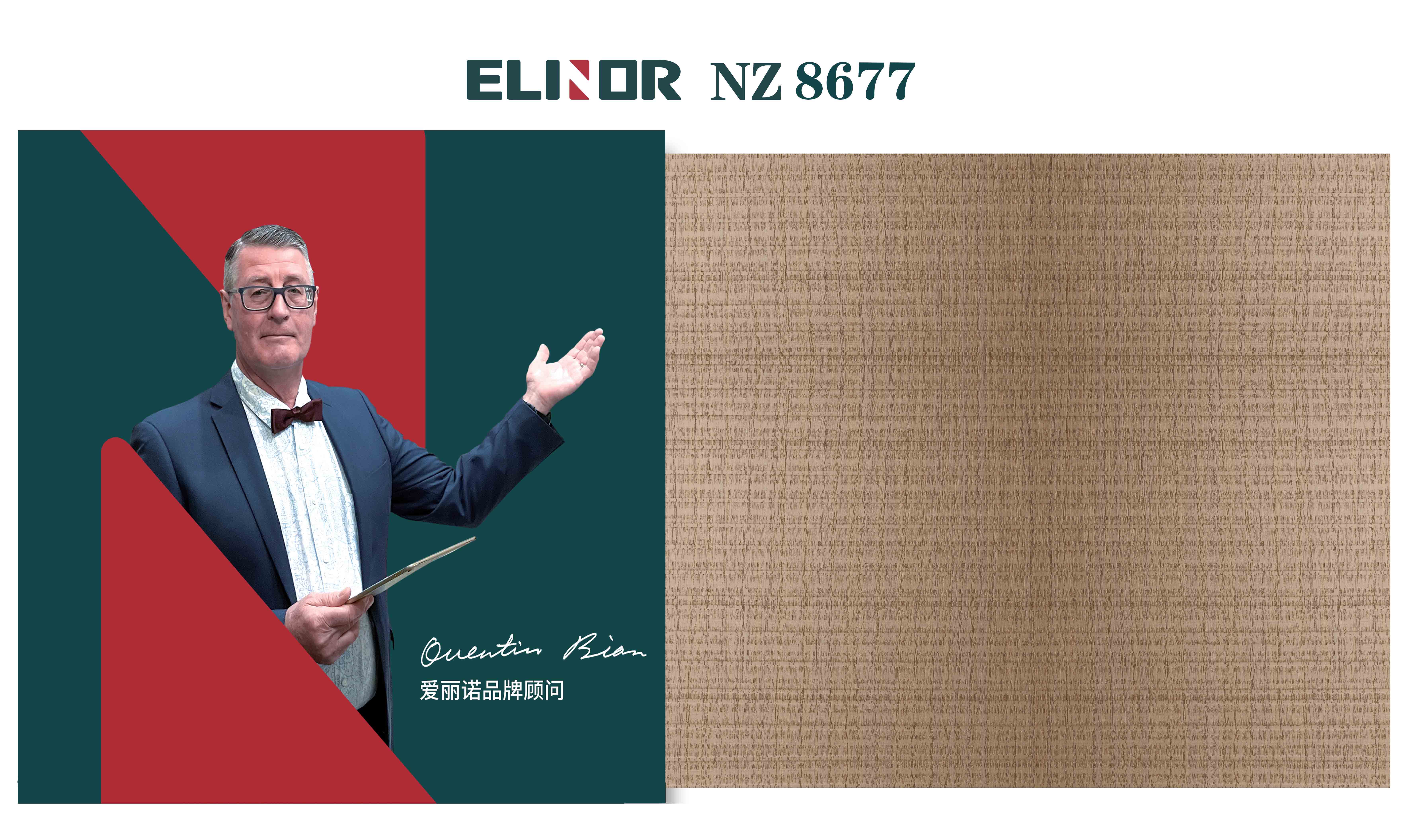 NZ8677 ¥528